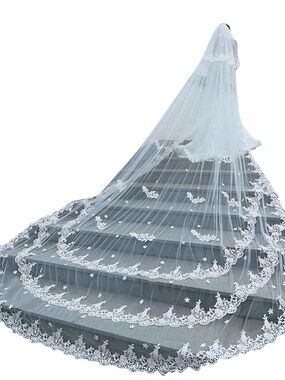 Long White Lace Edge Bridal Veil with Cathedral Train